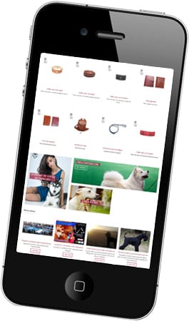 Desarrollo de página web para la boutique del artesano