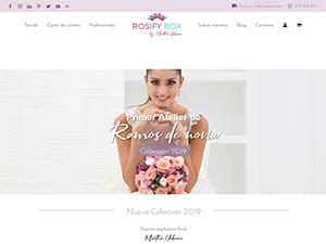 Diseño de página web y tienda online Rosify Box